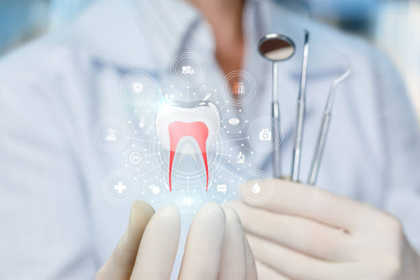Best Root Canal Treatment  in Burnham, IL